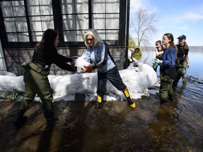 Residents, friends and volunteers work to hold back floodwaters on the Ottawa River in Constance Bay, Ont. on Monday, April 29, 2019.