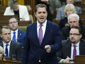 Conservative Leader Andrew Scheer asks a question in the House of Commons.