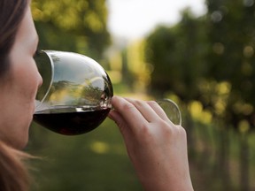 A woman drinks red wine in a vineyeard. A government publicity campaign to caution the French against drinking too much has gone unheeded.