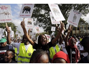 Demonstrators walk through the streets of Nairobi, in Kenya Saturday, April 13, 2019. Demonstrators walked through the streets of Nairobi to participate in a Global March to support wildlife Elephants and Rhinos. Kenya is a leading wildlife safari destination that has been grappling with declining wildlife numbers.