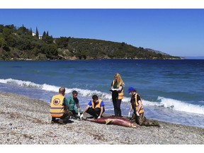 In this photo provided by Archipelagos Institute of Marine Conservation members of Aechpelagos institute inspect a dead dolphin at a beach of Samos island, Aegean sea, Greece, on Sunday, March 24, 2019. A Greek marine conservation group says a "very unusual" number of Aegean Sea dolphin deaths over recent weeks may be linked with recent Turkish naval exercises in the area. A total 15 dead dolphins have washed up on the eastern island of Samos and other parts of Greece's Aegean coastline since late February, according to the Archipelagos Institute.