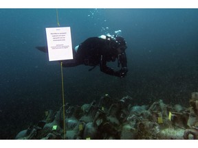 In this photo taken on Sunday, April 7, 2019, an archaeologists dives next ancient amphoras from a 5th Century B.C. shipwreck, the first ancient shipwreck to be opened to the public in Greece, including to recreational divers who will be able to visit the wreck itself, near the coast of Peristera, Greece. Greece's rich underwater heritage has long been hidden from view, off-limits to all but a select few, mainly archaeologists. Scuba diving was banned throughout the country except in a few specific locations until 2005, for fear that divers might loot the countless antiquities that still lie scattered on the country's seabed. Now that seems to be gradually changing, with a new project to create underwater museums.