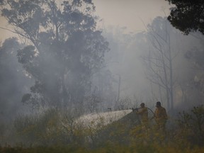 Fire fighters extinguish a forests fire near Kibbutz Harel, Israel, Thursday, May 23, 2019. Israeli police have ordered the evacuation of several communities in southern and central Israel as wildfires rage amid a major heatwave.