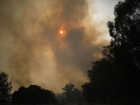 Smoke rises as a wildfire rages near Kibbutz Harel, Israel Thursday, May 23, 2019. Israeli police have ordered the evacuation of several communities in southern and central Israel as wildfires rage amid a major heatwave.