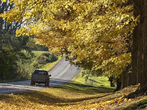 Trees along Golf Links Road northwest of the town of Burford still have leaves with brilliant colour, but it won't be long before branches are bare. Photographed on Monday October 29, 2018 near Burford, Ontario.