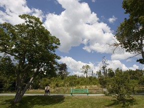 Visitors stroll through Point Pleasant Park in Halifax on Friday, August 13, 2010. An ambitious plan to cut down 80,000 smaller trees inside Halifax's most popular seaside park has been put on hold until the fall to ensure the nests of migratory birds are not disturbed.
