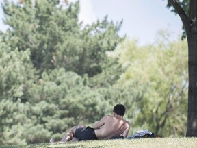 A man relaxes under a tree in a park in Montreal, Thursday, July 5, 2018.THE CANADIAN PRESS/Graham Hughes