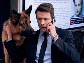 Citytv is bringing what it calls "weirdly wonderful characters" to its upcoming schedule, with two new Canadian shows and the return of the homegrown cop-canine drama "Hudson & Rex." John Reardon and "Rex" are seen in an undated handout photo.