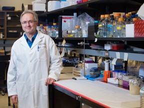 Dr. Pere Santamaria, a professor in the Department of Microbiology, Immunology and Infectious Diseases, and member of the university's Snyder Institute for Chronic Diseases, poses in this undated handout photo. Parvis Therapeudics, the company Santamaria founded, and California-based company Genetech have reached a billion-dollar deal to develop a potential treatment for celiac disease, irritable bowel syndrome and other autoimmune diseases.