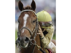 Flavien Prat hugs Country House after winning the 145th running of the Kentucky Derby horse race at Churchill Downs Saturday, May 4, 2019, in Louisville, Ky.