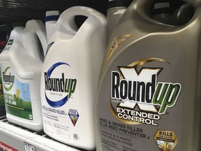 FILE - In this Feb. 24, 2019, file photo, containers of Roundup are displayed on a store shelf in San Francisco. A Northern California jury ordered agribusiness giant Monsanto Co. to pay a combined $2.05 billion to a couple who claimed the company's popular weed killer Roundup Ready caused their cancers. The Oakland jury on Monday, May 13, 2019, delivered Monsanto's third such loss in California since August. Alva and Alberta Pilliod claimed they used Roundup for more than 30 years to landscape. They were both diagnosed with non-Hodgkin's lymphoma. Monsanto owner Bayer said it would appeal.