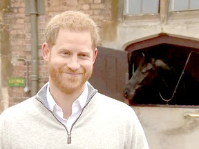 Prince Harry announces the birth of his son Monday, with Sir John, a gift to the Queen by the Royal Canadian Mounted Police, in the background.
