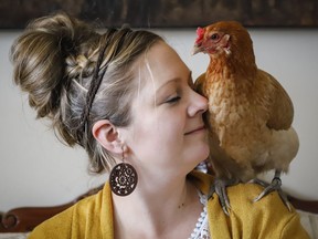 A sense of calm comes over Nikki Pike when she's with her three hens Nugget, Nibble and Noodle, at her home in Calgary, Alta., Saturday, May 4, 2019.THE CANADIAN PRESS/Jeff McIntosh