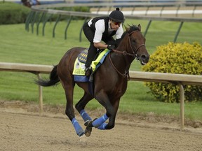 Kentucky Derby entrant Game Winner is ridden during a workout at Churchill Downs Wednesday, May 1, 2019, in Louisville, Ky. The 145th running of the Kentucky Derby is scheduled for Saturday, May 4.