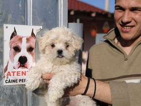 In this picture taken Wednesday, May 22, 2019, Liviu Alexandru Iorga holds puppy Cora as he stands next to a dangerous dog sign outside his home in Luncavita, Romania. The Romania village of Luncavita has benefited greatly from millions in development funds from the European Union, but few of its residents bothered to vote in previous European Parliamentary elections.