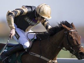 FILE - In this Saturday, April 11, 2015 file photo, Ruby Walsh rides Nichols Canyon to victory in the Mersey Novices' Hurdle race before the Grand National horse race at Aintree Racecourse Liverpool, England. Irish jockey Ruby Walsh has retired from horse racing, ending a career in which he had more than 2,500 winners and earned more successes at the Cheltenham Festival than any rider. The 39-year-old Walsh made is decision after riding Kemboy to a two-length victory at the Punchestown Gold Cup on Wednesday, May 1, 2019.