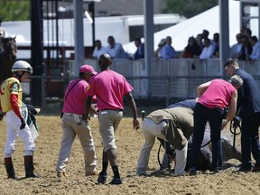 Jockey Trevor McCarthy, left, looks on as track officials tend to his ride Congrats Gal after the horse collapsed after the eighth horse race at Pimlico Race Course, Friday, May 17, 2019, in Baltimore.
