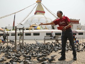 In this May 9, 2019 photo, Apa Sherpa feeds pigeons in Boudhanath Stupa in Kathmandu, Nepal. Apa Sherpa has stood on top of the world more times than all but one other person. Now he wants to make sure no one feels compelled to follow in his footsteps.