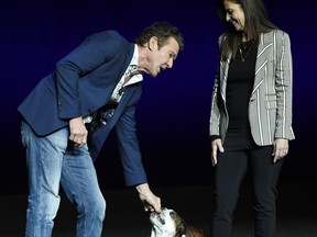 FILE - In this April 3, 2019, file photo, Dennis Quaid, left, a cast member in the upcoming film "A Dog's Journey," attends to his dog as the film's director Gail Mancuso looks on during the Universal Pictures presentation at CinemaCon 2019, the official convention of the National Association of Theatre Owners (NATO) at Caesars Palace in Las Vegas. The 2018 family hit "A Dog's Purpose" was marred by accusations of animal abuse after a video of a frightened dog that appeared to be forced into rushing water during the making of the film was posted by TMZ. Quaid starred in both movies