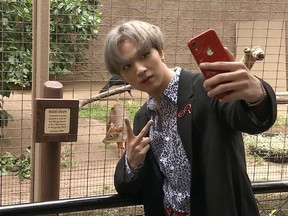 This May 15, 2019 image taken from video shows Haechan of the K-pop group NCT 127 taking a selfie with a baby pudu at the Los Angeles Zoo. Fans of the group donated money to name the baby pudu after Haechan. This week, the human Haechan got to meet his namesake, snapping selfies with the little deer at his enclosure.