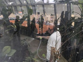 A gardener waters tropical plants in the greenhouses that surround the new Simonne Mathieu court prior to the first round matches of the French Open tennis tournament at the Roland Garros stadium in Paris, Sunday, May 26, 2019.