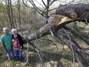 FILE - In this May 3, 2018, file photo Becky and Roger Crabtree stand by downed trees along the route of the proposed Mountain Valley pipeline on their property in Lindside, W.Va. A Virginia-based legal group is asking the U.S. Supreme Court to end what it says has become an abuse of eminent domain by companies that build natural-gas pipelines.