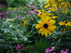 One of the gardens on display at the Through the Garden Gate tour.