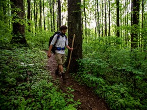 Sacha Servan-Schreiber, from the Boston area, hikes along the Appalachian Trail just north of Ashby Gap, Va., May 13, 2019.