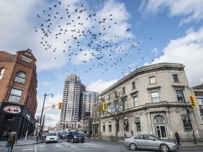 Millennials have helped gentrify neighbourhoods such as the Junction.