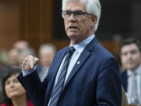 International Trade Diversification Minister James Carr responds to a question during Question Period in the House of Commons Friday May 3, 2019 in Ottawa. Canada's trade minister is endorsing a European Union plan that seeks to prevent the Trump administration from paralysing the World Trade Organization's dispute settlement body later this year.