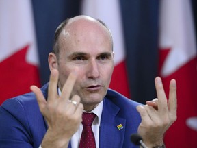 Jean-Yves Duclos, Minister of Families, Children and Social Development, responds to the 2019 Spring Reports of the Auditor General in Ottawa on Tuesday, May 7, 2019. The federal government will unveil its promised strategy today to use hundreds of millions in federal funding to finance new, experimental ways to deliver social services -- which could in turn save public coffers money in the long-term.THE CANADIAN PRESS/Sean Kilpatrick