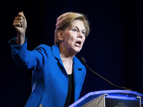 Democratic presidential nomination candidate Elizabeth Warren proposes a two per cent annual tax on fortunes over US$50 million, and three per cent over $1 billion.