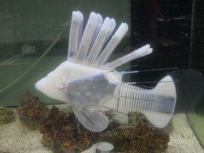Pictured is an aquatic soft robot, inspired by a lionfish and designed by co-author James Pikul, former postdoctoral researcher in the lab of Rob Shepherd, associate professor of mechanical and aerospace engineering.