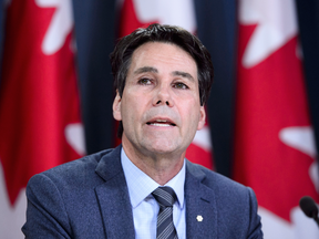Dr. Eric Hoskins, Chair of the Advisory Council on the Implementation of National Pharmacare, speaks during a press conference in Ottawa on June 12, 2019.