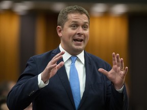 Leader of the Opposition Andrew Scheer rises during Question Period in the House of Commons Wednesday June 19, 2019 in Ottawa.