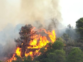 A forest fire in Spain raged out of control amid a Europe-wide heatwave, devouring land despite the efforts of hundreds of firefighters who worked through the night. The blaze broke out on June 26, 2019 in the northeastern region of Catalonia and has destroyed about than 10,000 hectares.