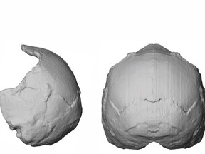 This handout picture released on July 10, 2019, by Eberhard Karls University of Tuebingen shows a reconstruction and computer model of part of a skull named Apidima 1.