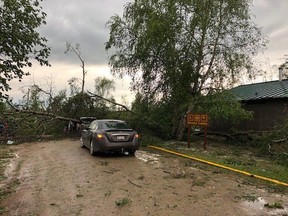 Fallen trees block vehicles from getting through a route at the Murray Doell Campground, in Meadow Lake Provincial Park, Sask., in a Saturday, June 29, 2019, handout photo.