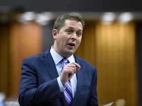 Conservative leader Andrew Scheer rises during Question Period in the House of Commons on Parliament Hill in Ottawa on Monday, June 3, 2019. Federal Conservative Leader Andrew Scheer says there is no place in society for comments such as the ones U.S. President Donald Trump has made about four Democratic congresswomen.