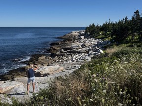 A woman looks out at the Atlantic coastline on the Herring Cove Provincial Park trail in Halifax on Tuesday, August 23, 2016. New research for the federal Treasury Board has concluded that buildings, coastlines and northern communities face the biggest risks from climate change in Canada.