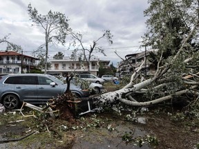 A picture taken on July 11, 2019 shows broken trees fallen on cars after a storm in Nea Plagia, in Chalkidiki, Northern Greece.