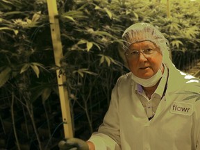 Former Alberta PC cabinet minister Dr. Lyle Oberg is now policy and medical officer for the research-oriented cannabis producer Flowr Corp.