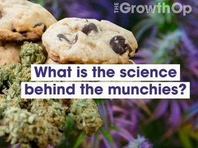 Munchies Thumbnail