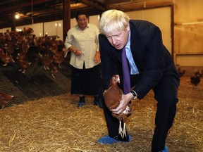 Britain's Prime Minister Boris Johnson, (R), accompanied by local farmer Ingrid Shervington, holds a chicken during his visit to rally support for his farming plans post-Brexit, at Shervington Farm, St Brides Wentlooge near Newport, south Wales on July 30, 2019.