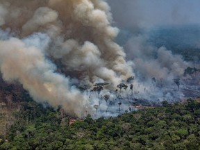 Handout aerial picture released by Greenpeace showing a patch of forest being cleared with fire in the municipality of Candeias do Jamari, close to Porto Velho in Rondonia State, in the Amazon basin in northwestern Brazil, on August 24, 2019.