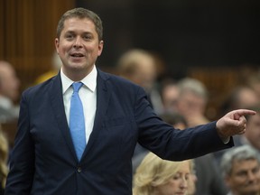 Leader of the Opposition Andrew Scheer rises during Question Period in the House of Commons on June 19, 2019 in Ottawa.