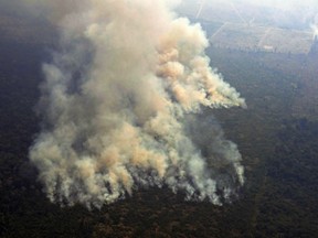 An aerial picture showing smoke from a two-kilometre-long stretch of fire billowing from the Amazon rainforest about 65 km from Porto Velho, in the state of Rondonia, in northern Brazil, on August 23, 2019.