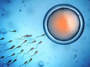 An illustration of human sperm and an egg cell.