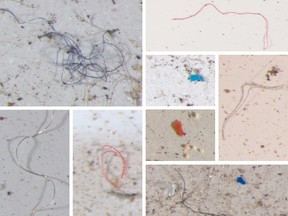 A collage of microplastics (threads, beads, shards) discovered by U.S. geologists on the mountain slopes of the Rocky Mountain National Park