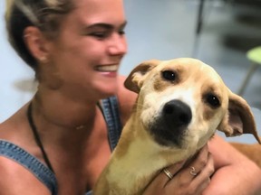 Milo, a 10-month-old retriever-hound mixed puppy, was safely returned to the Toronto Humane Society on Aug. 11, 2019 after being stolen two days earlier.